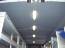 Allestimento Iveco Daily 3950 L3H2
